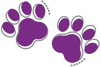 Paw Prints Purple