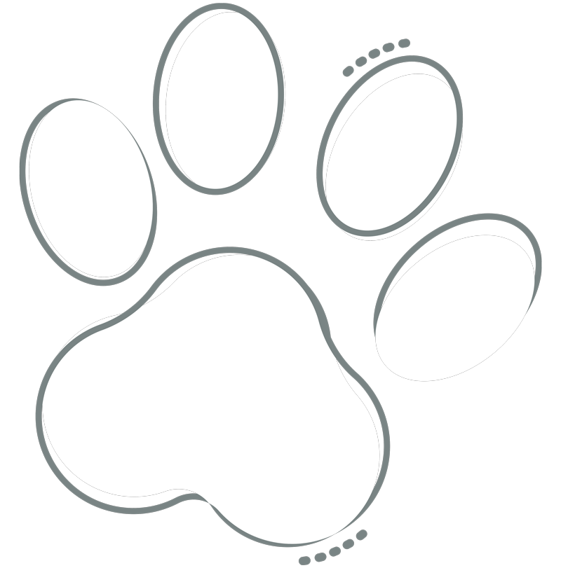 paw print white