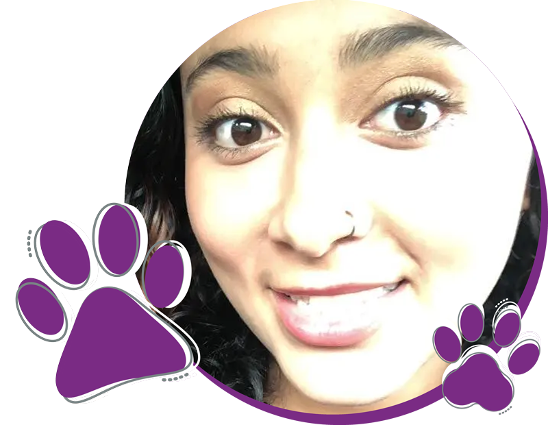 Totally Pawsome About Us