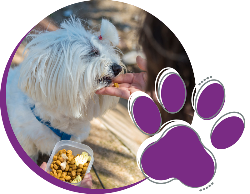 Totally Pawsome Treats