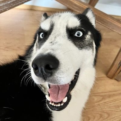 Services IMG 7322 400